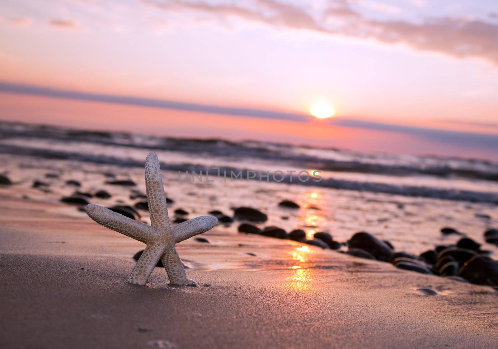 Starfish on the beach at romantic sunset