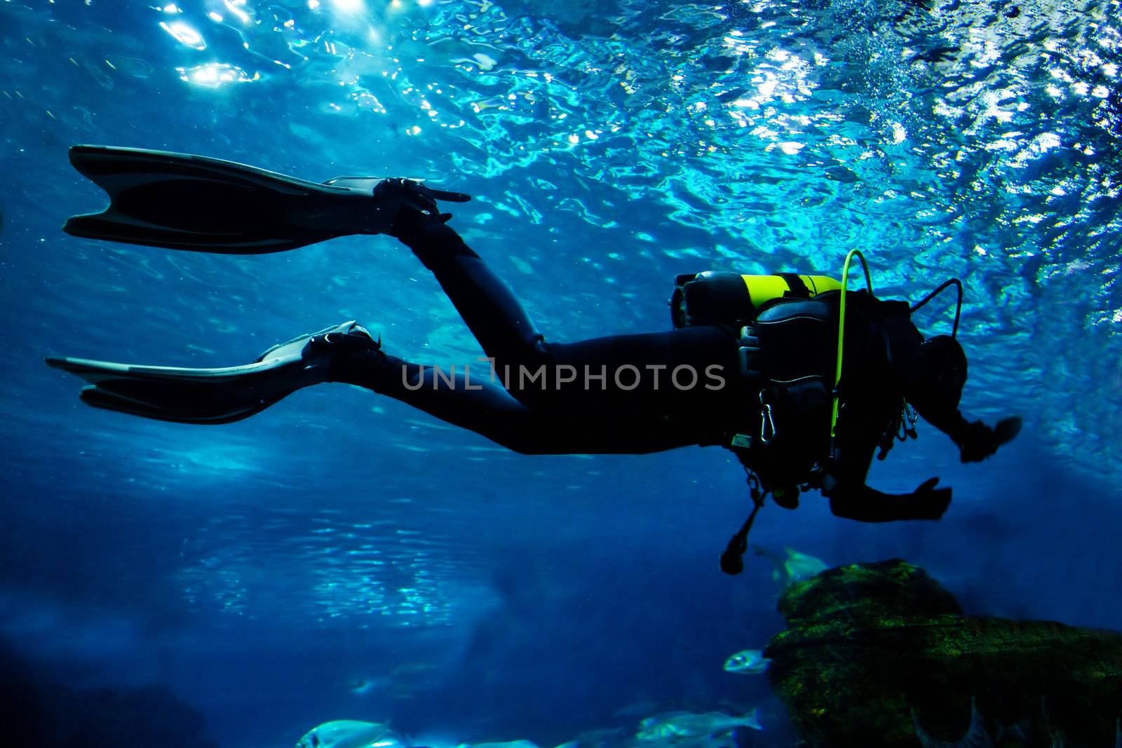 Diving in the ocean. Diver silhouette