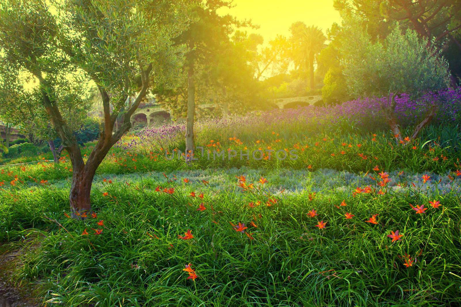 Colorful spring summer park with flowers, green grass and trees