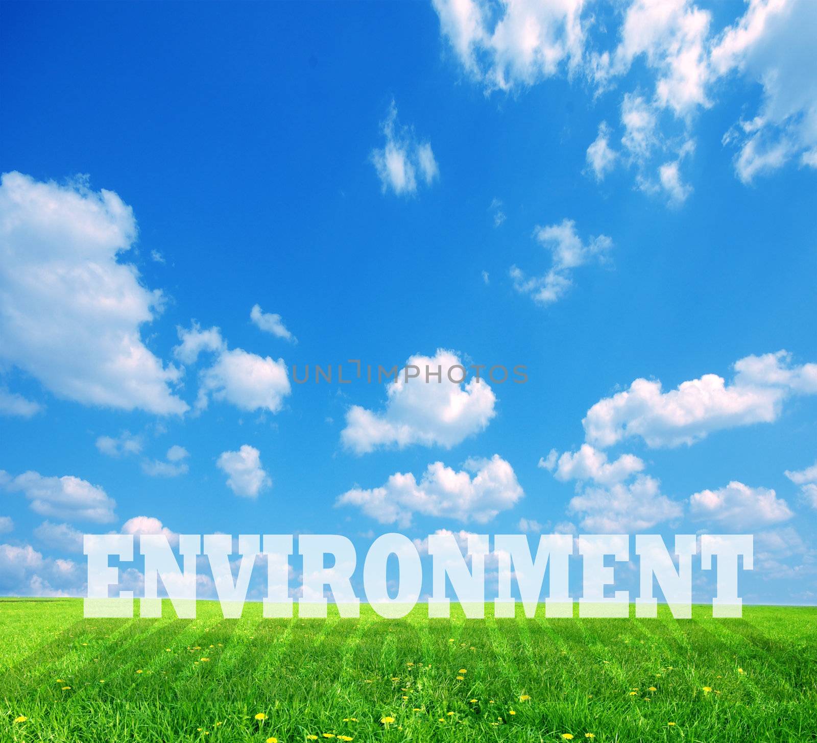 Nature background with environment caption. Conceptual image