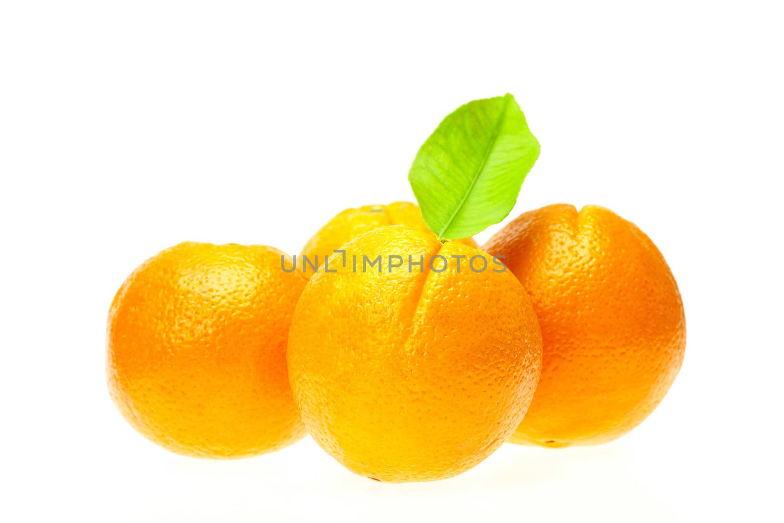 oranges with leaves  isolated on white
