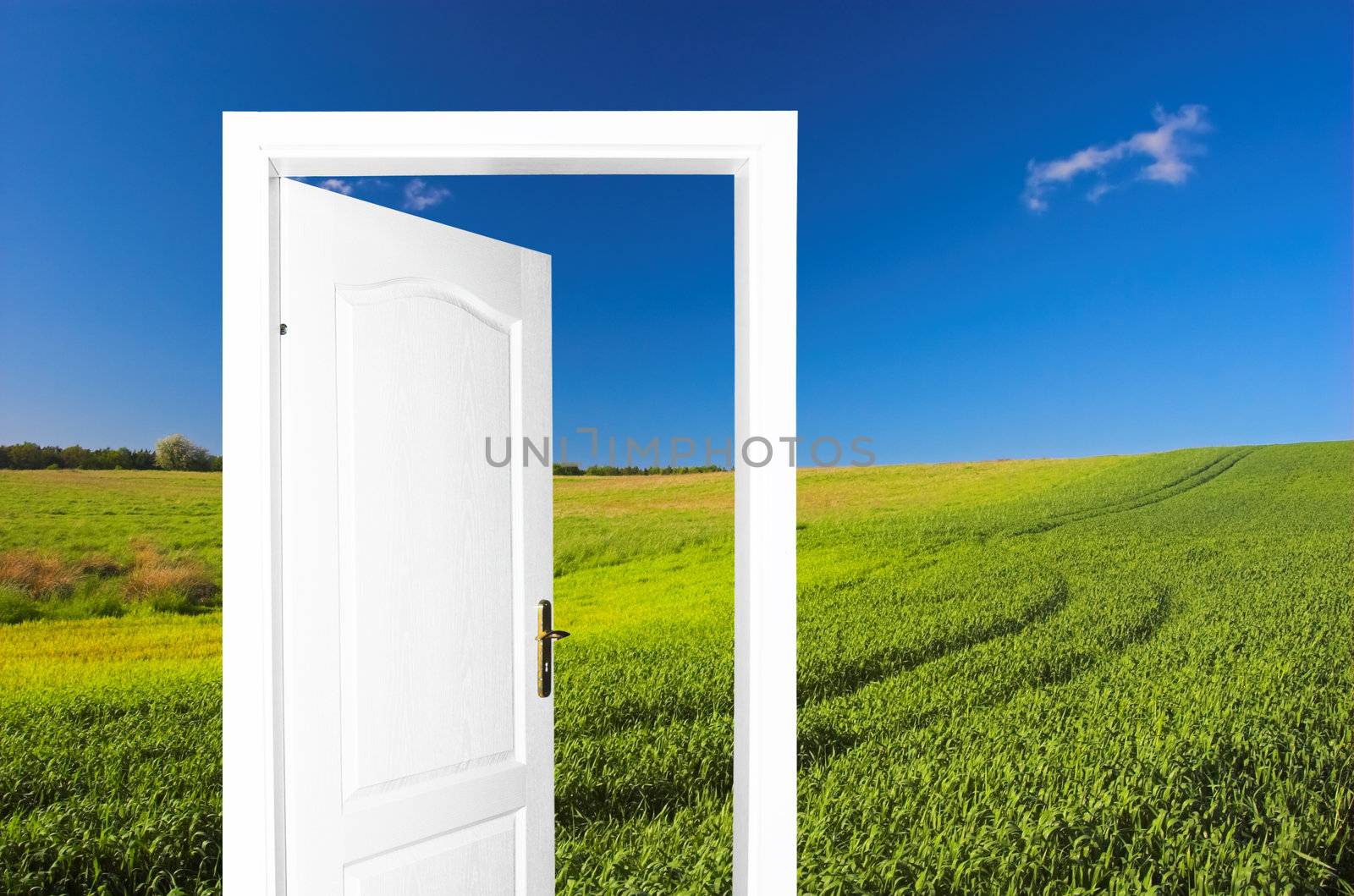 Door to new world.. Just cross doorway.... Behind door exist new beautiful world. Summer meadow version 2. Easy editable image.