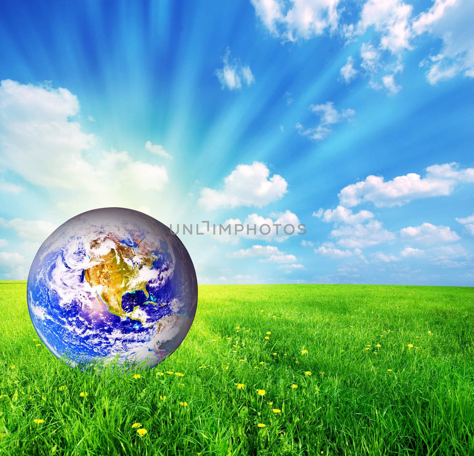 Earth globe on green grass conceptual
