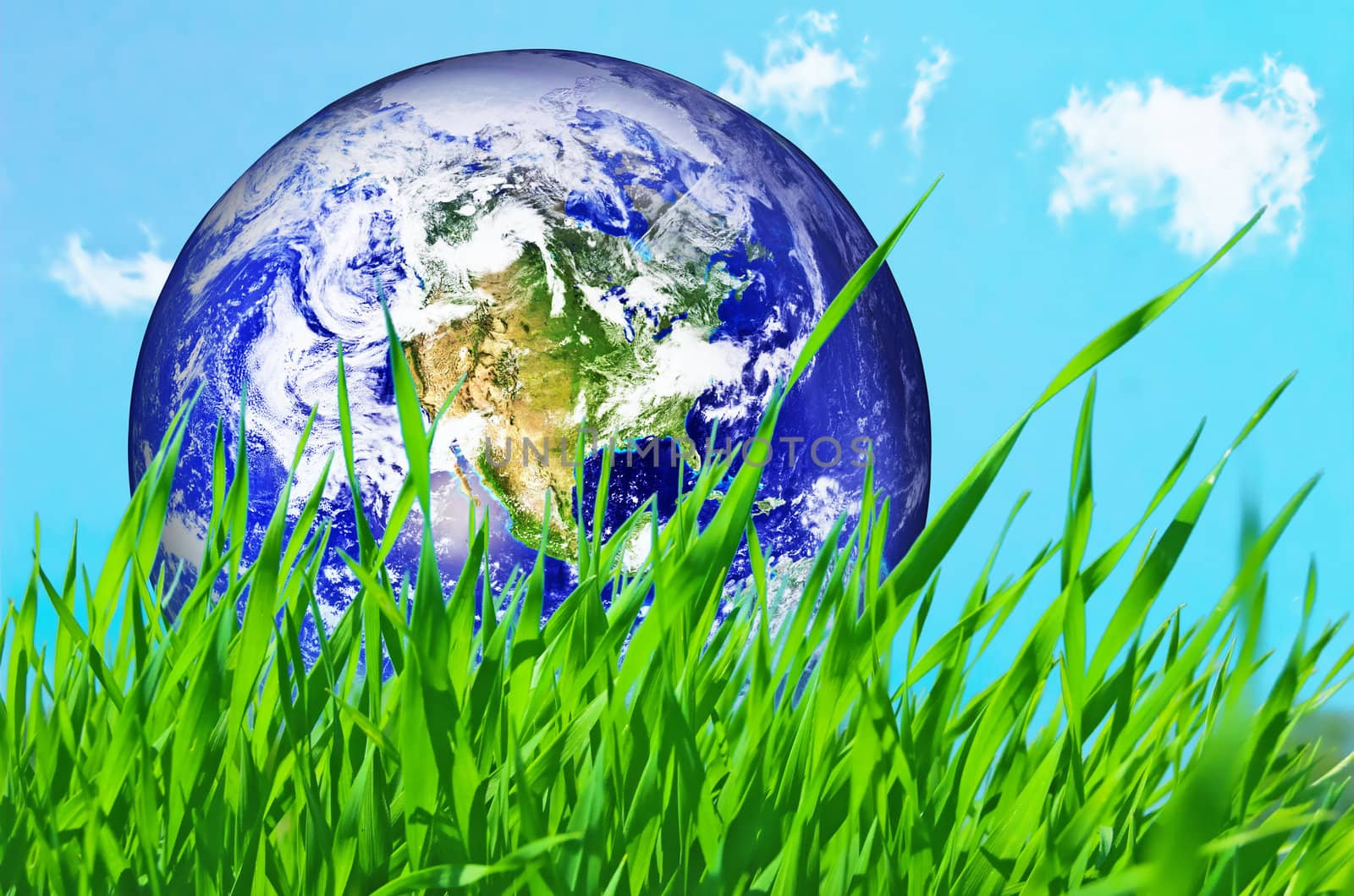 Earth globe in green grass conceptual