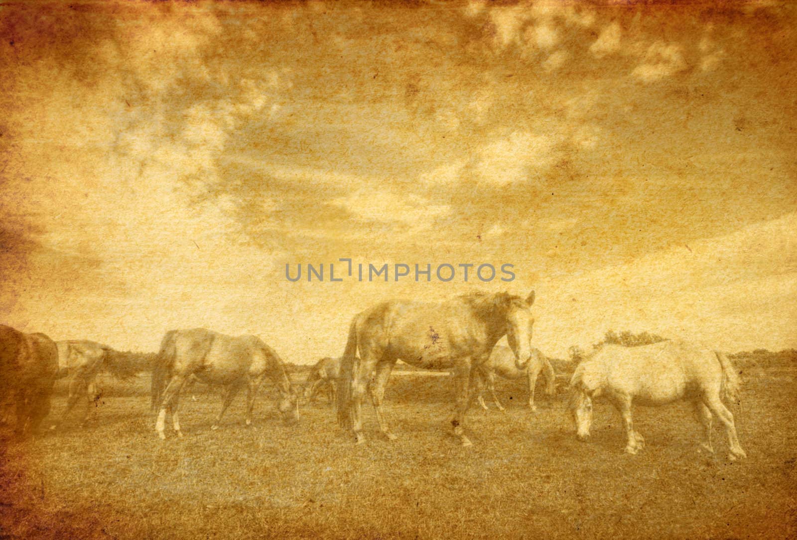 Landscape with horses on old vintage grunge paper
