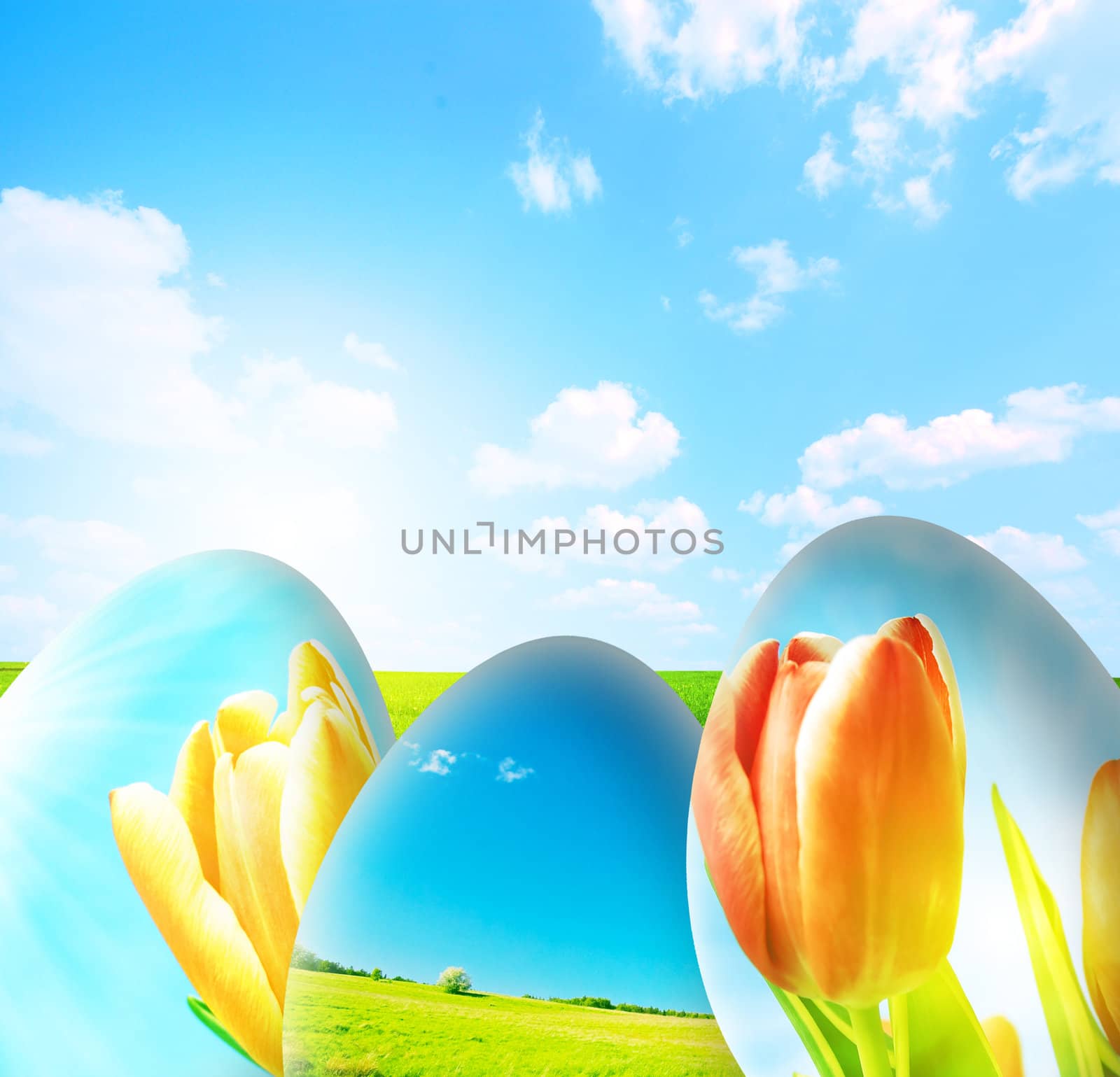 Perfect easter background. Colorful easter eggs and blue sky