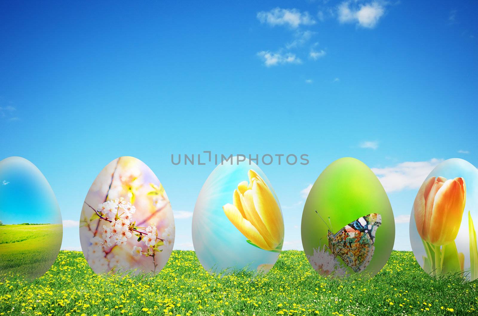 Colorful easter eggs on fresh grass over blue sky