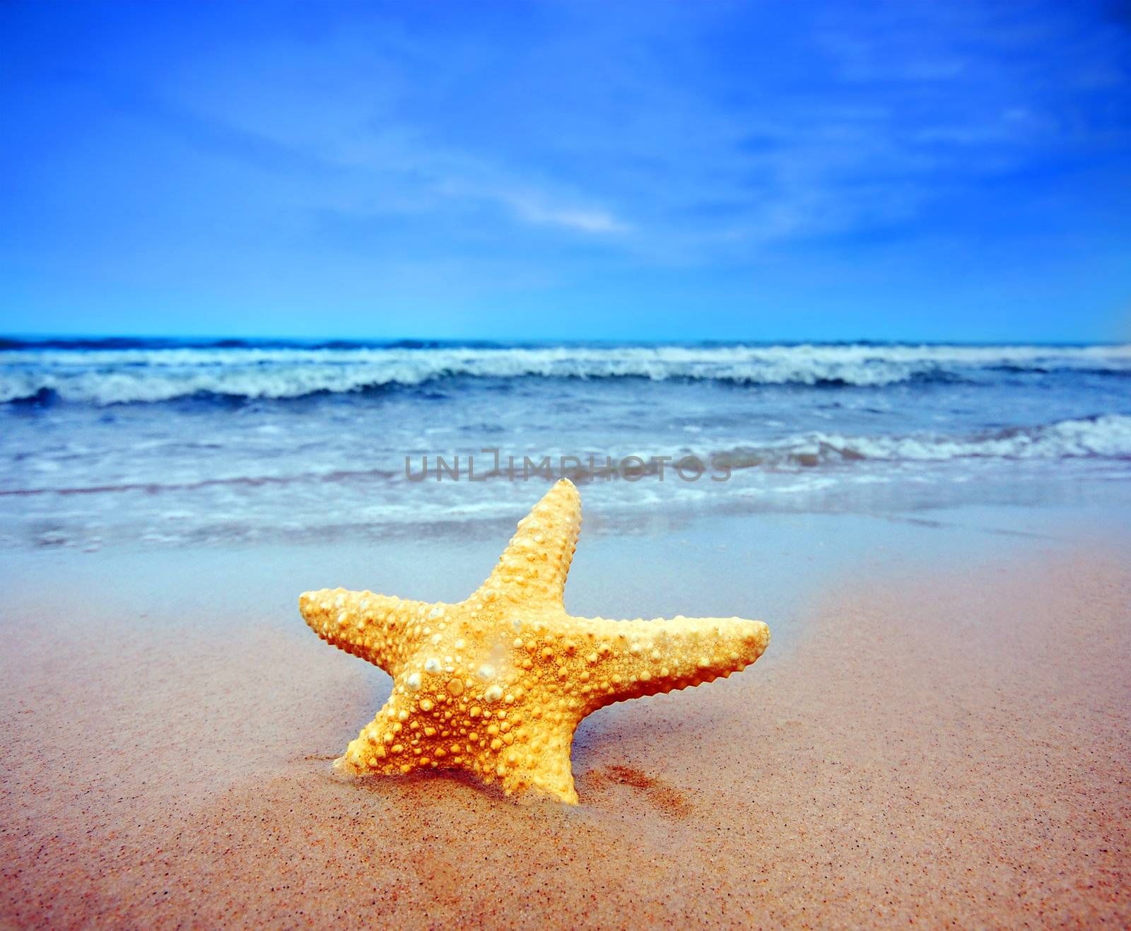 Starfish on a beach. Colorful, summer background 