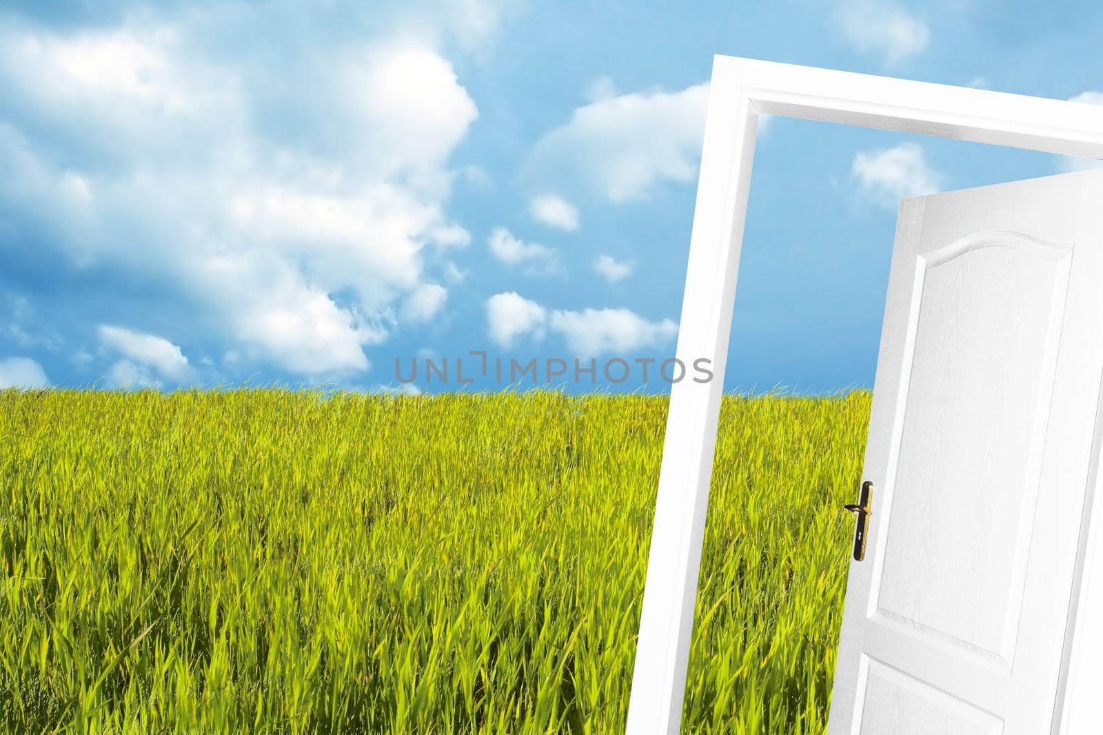 Door to the new world. See also different versions!