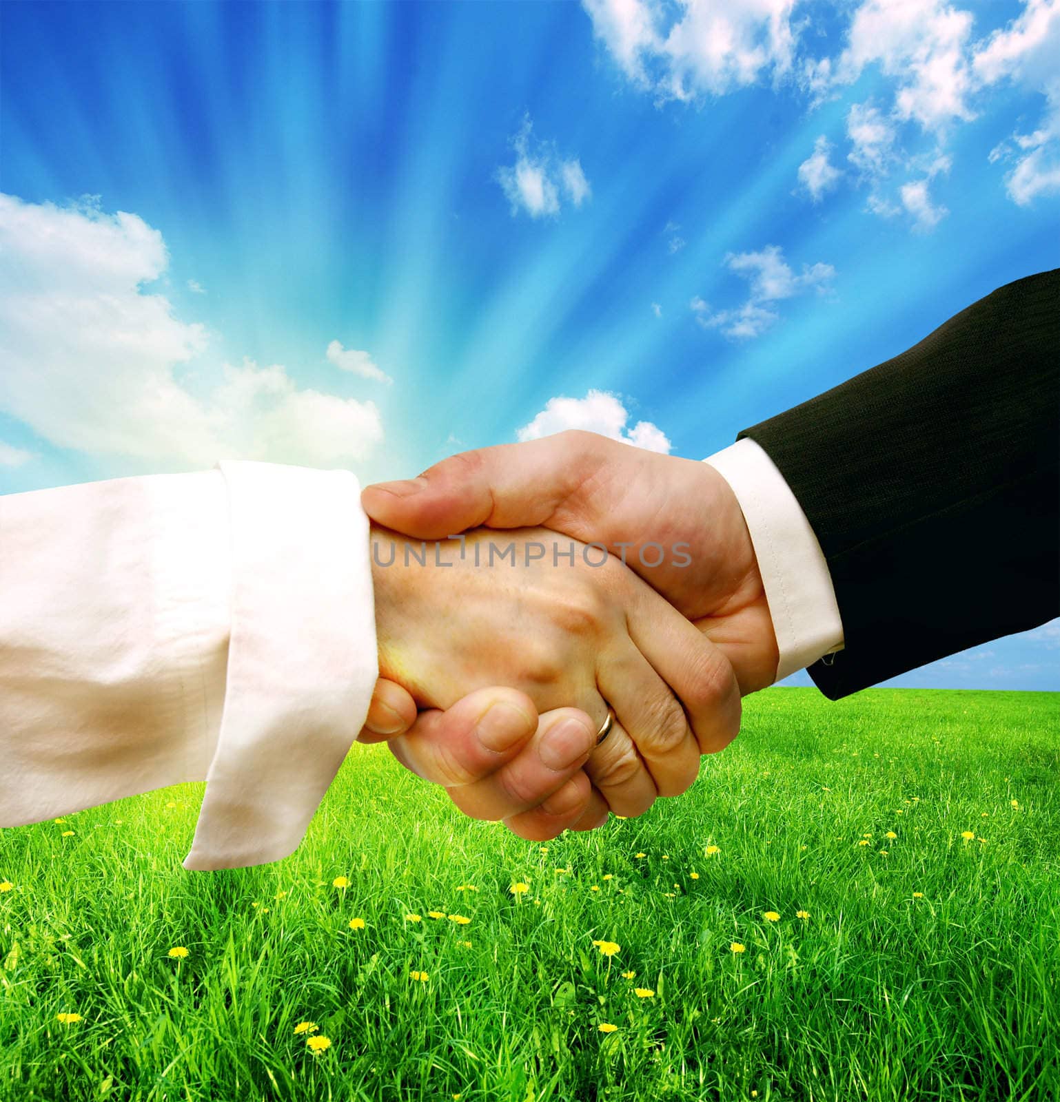 Business handshake on nature background by photocreo
