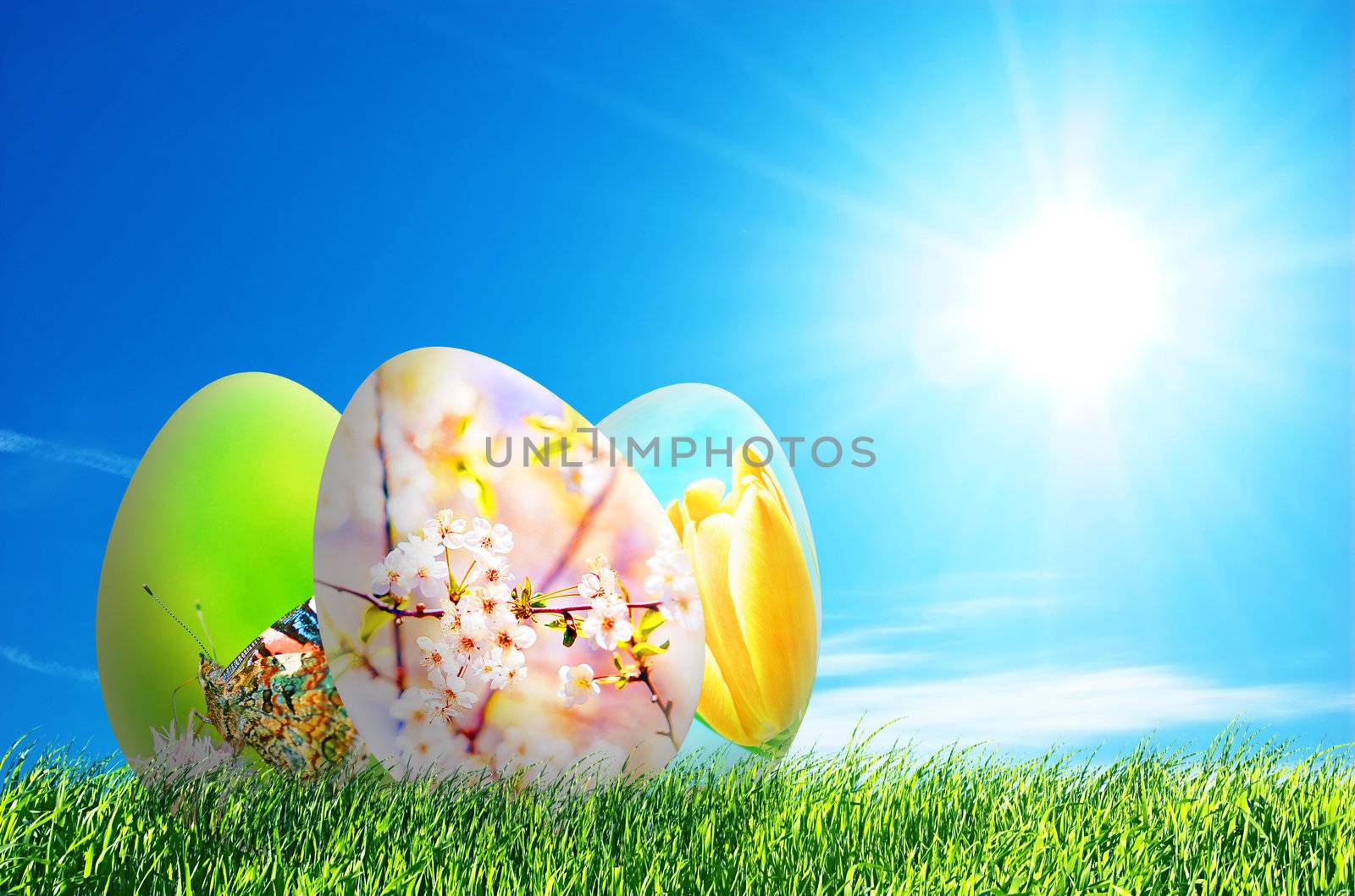 Colorful easter eggs on fresh spring grass over blue sky