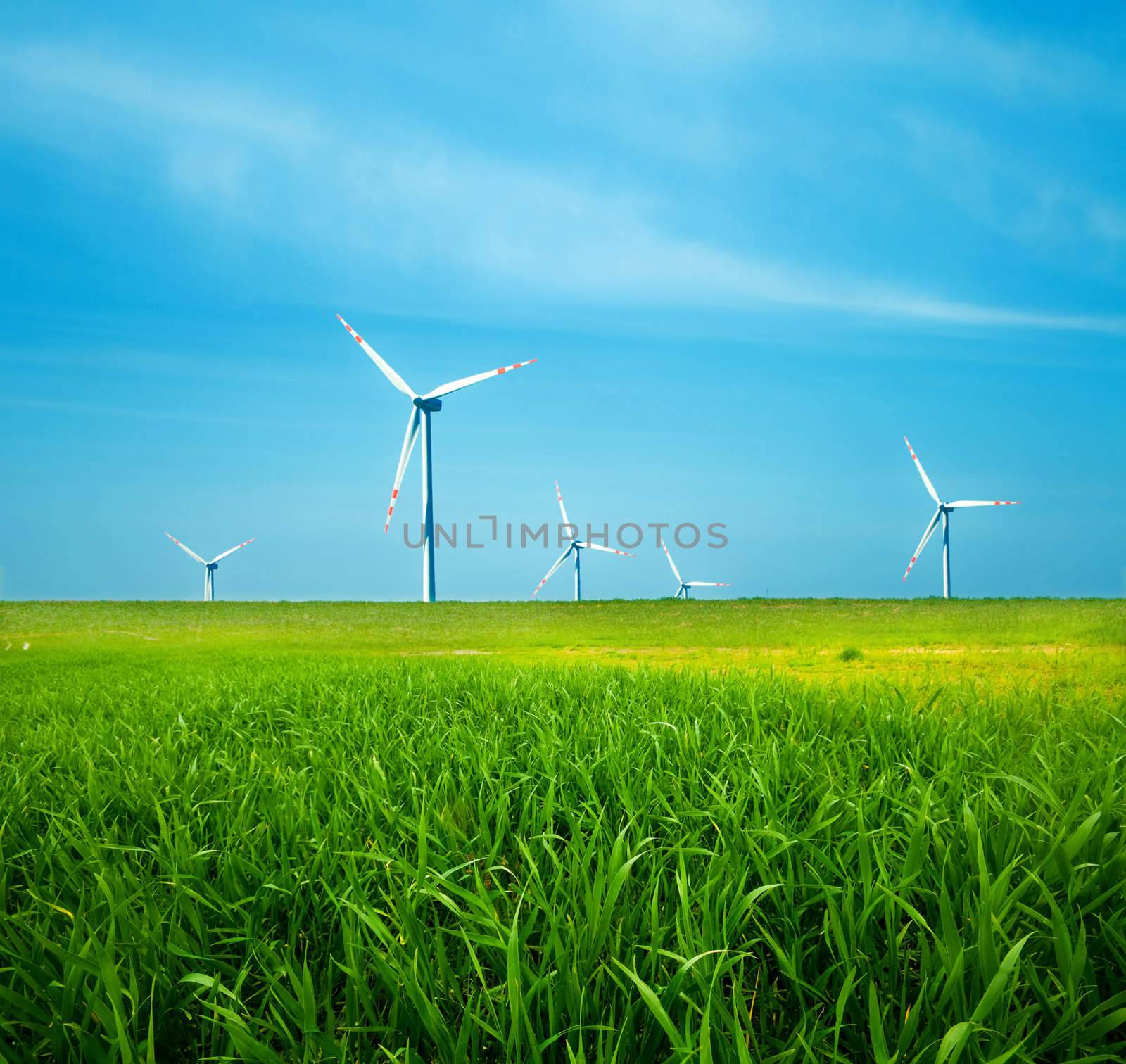 Wind turbines on green field. Alternative source of energy