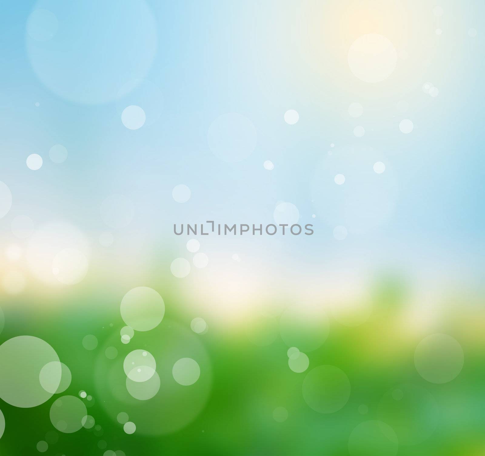 Nature blur background. Spring / summer sunny day