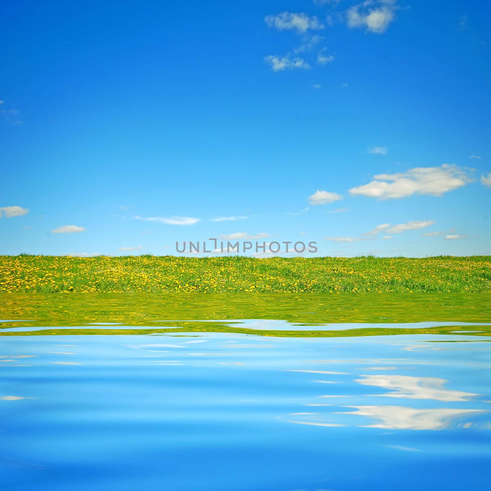 Beautiful landscape. Clear water, fresh meadow and blue sky