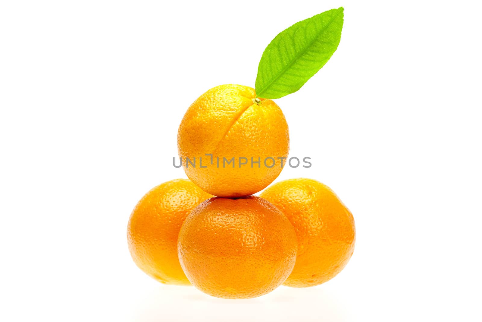 oranges with leaves  isolated on white