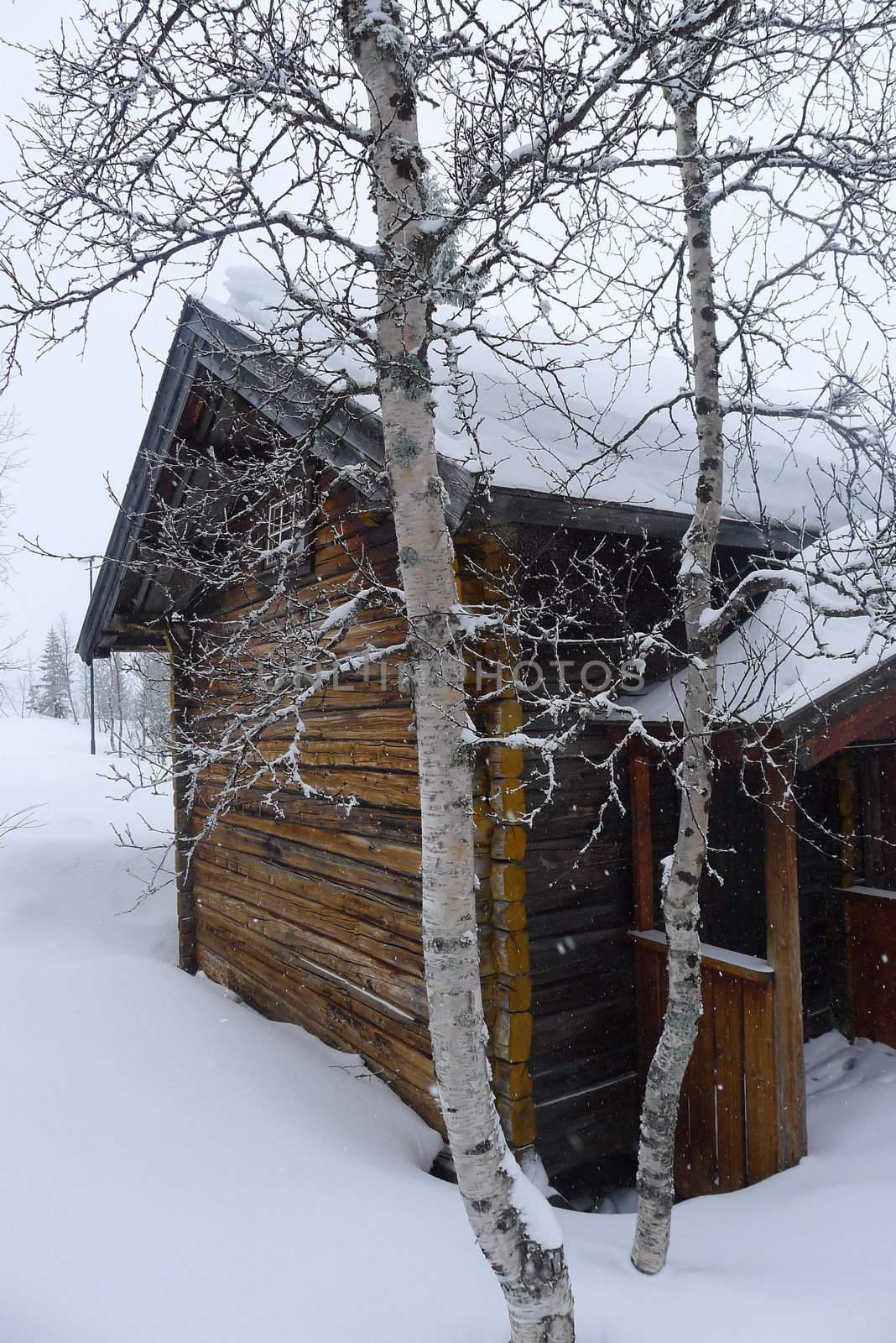 Winter cabin by Bildehagen