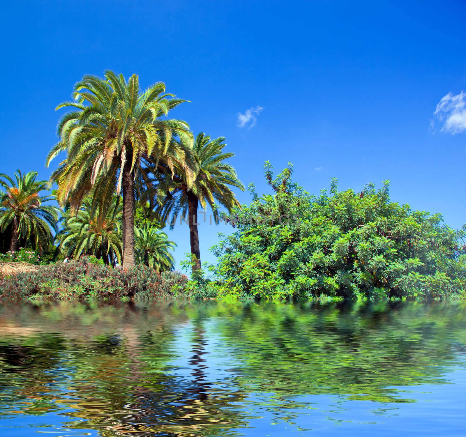 Tropical exotic jungle idyllic view, abstract water