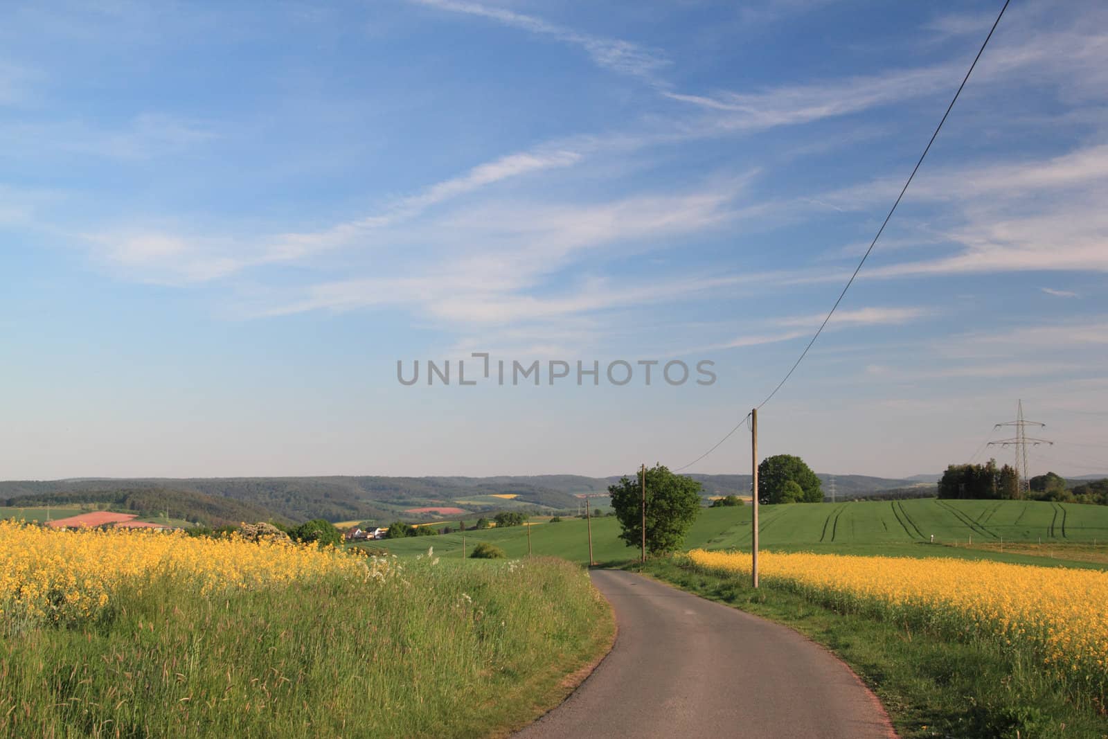 small road in germany at springtime, bad arolsen, hesse