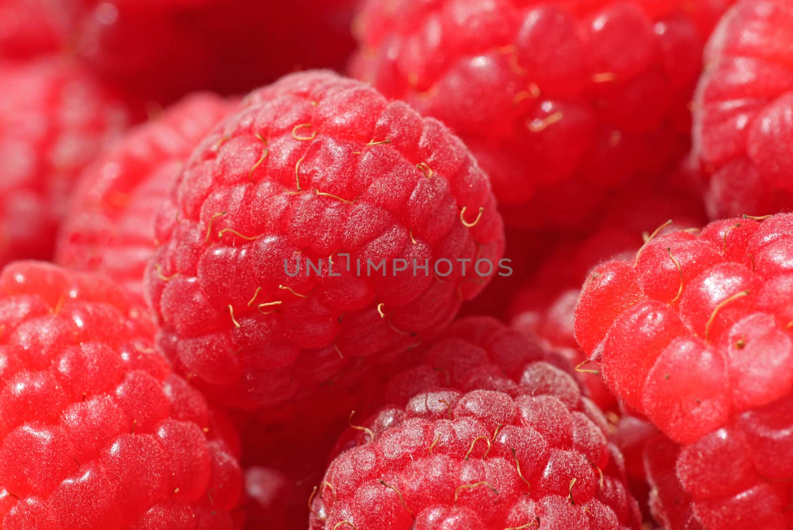 raspberry by romantiche