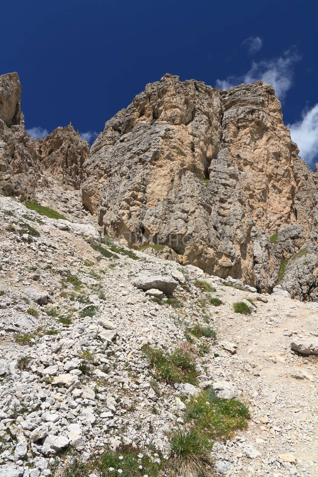 summer view of Gran Cir mount, Trentino  alto Adige, Italy