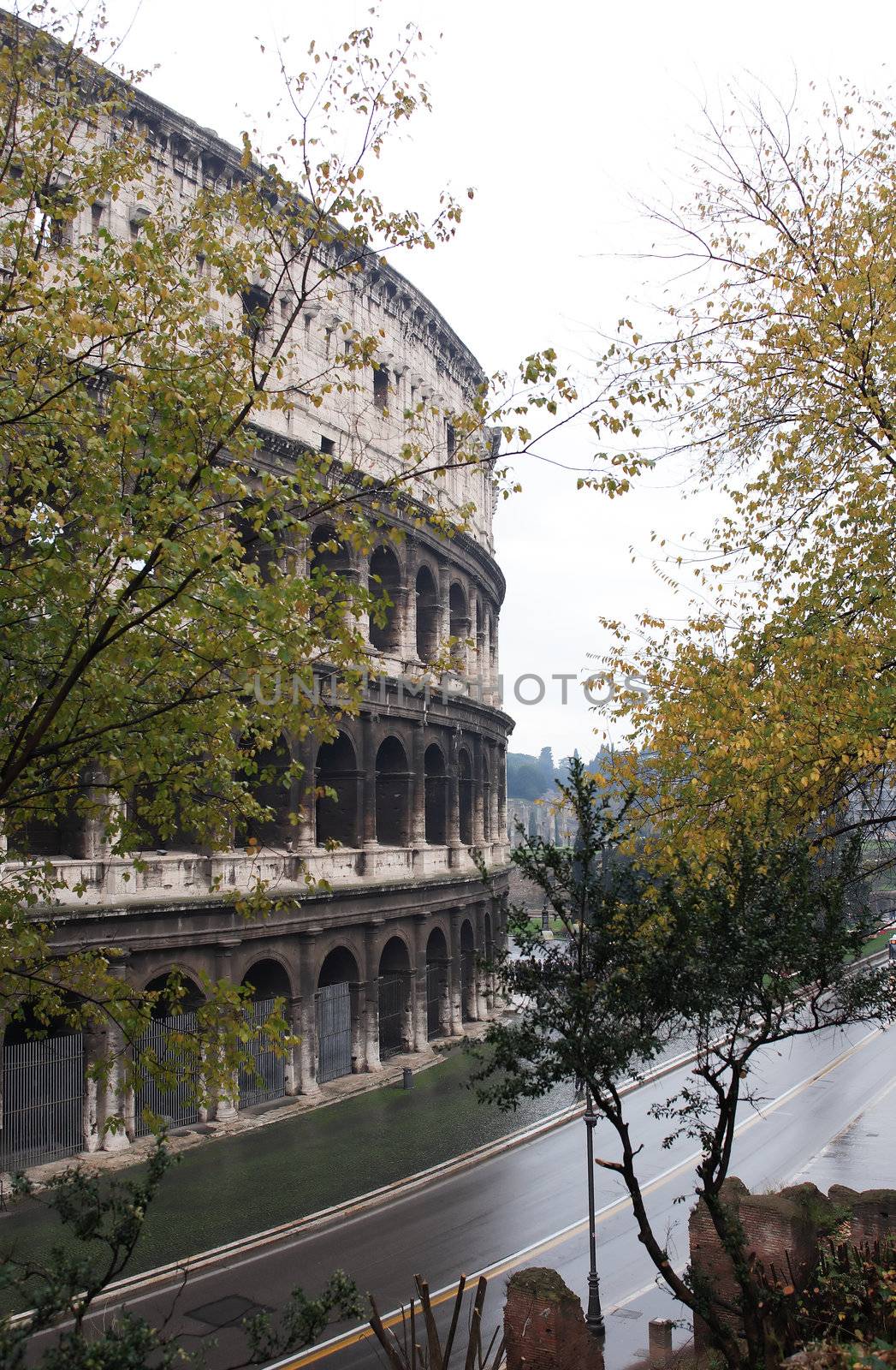 Winter in Rome. Urban scene with wet trees and fragment of Coliseum