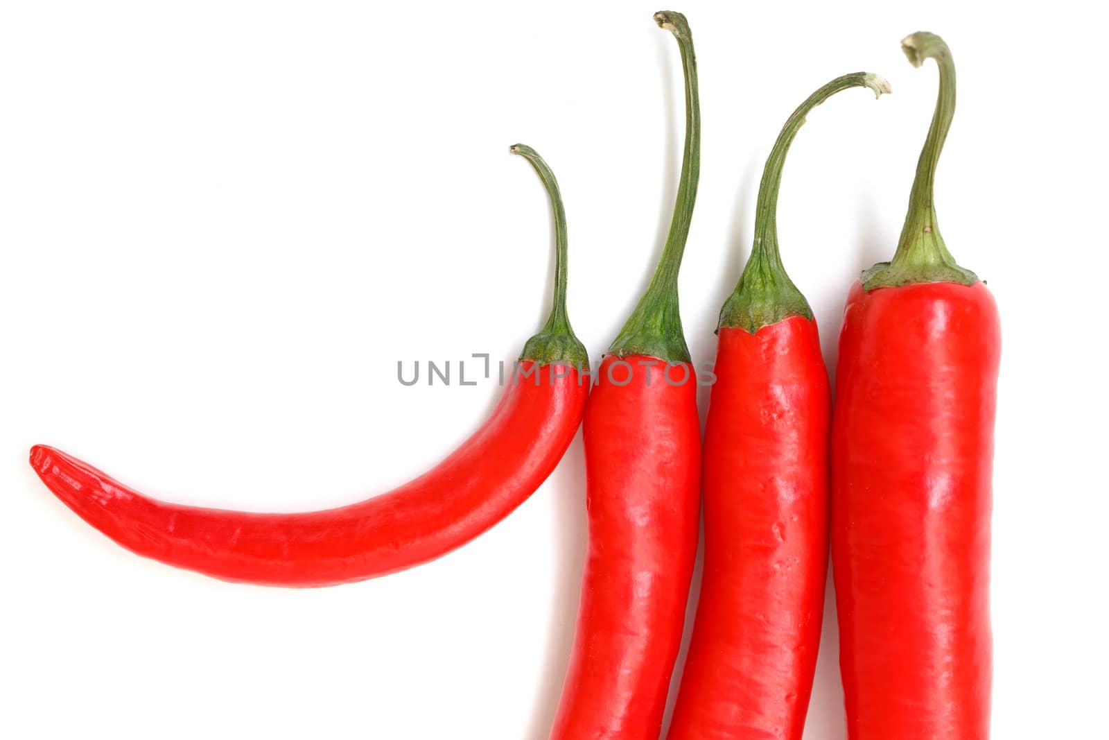 Chili pepper by Discovod