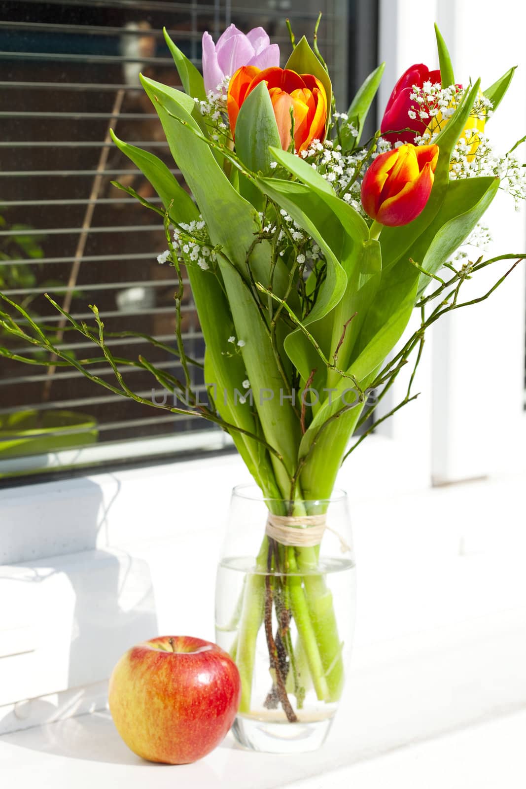 spring bouquet with tulips and an apple by jannyjus