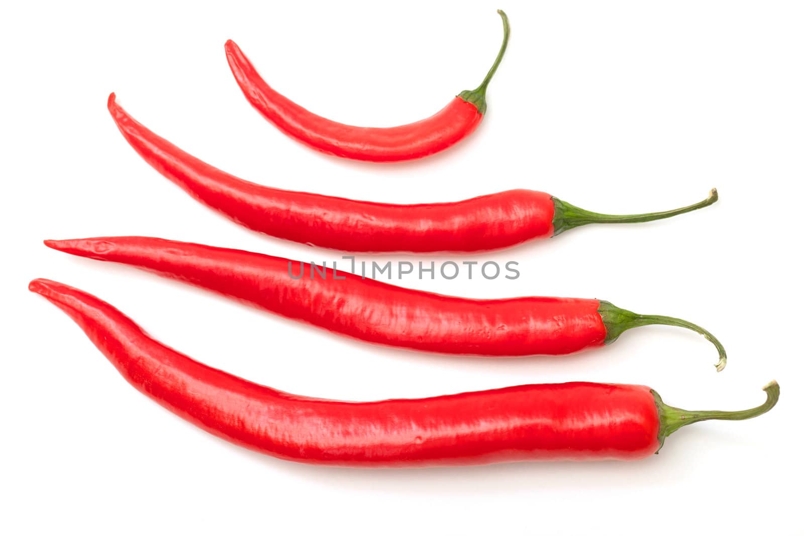 Chili pepper by Discovod