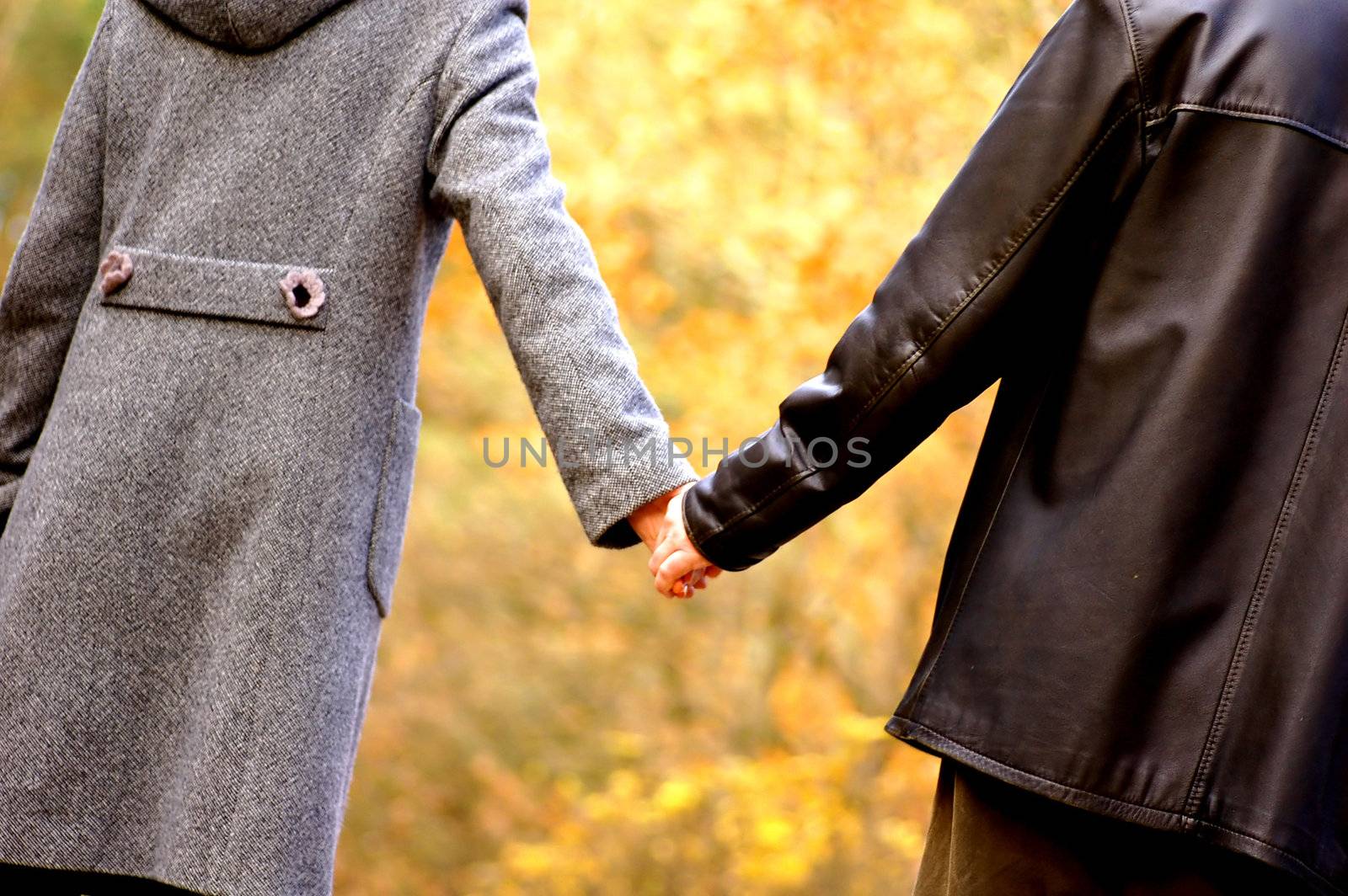 Hand-in-hand. Couple love in autumn scenery