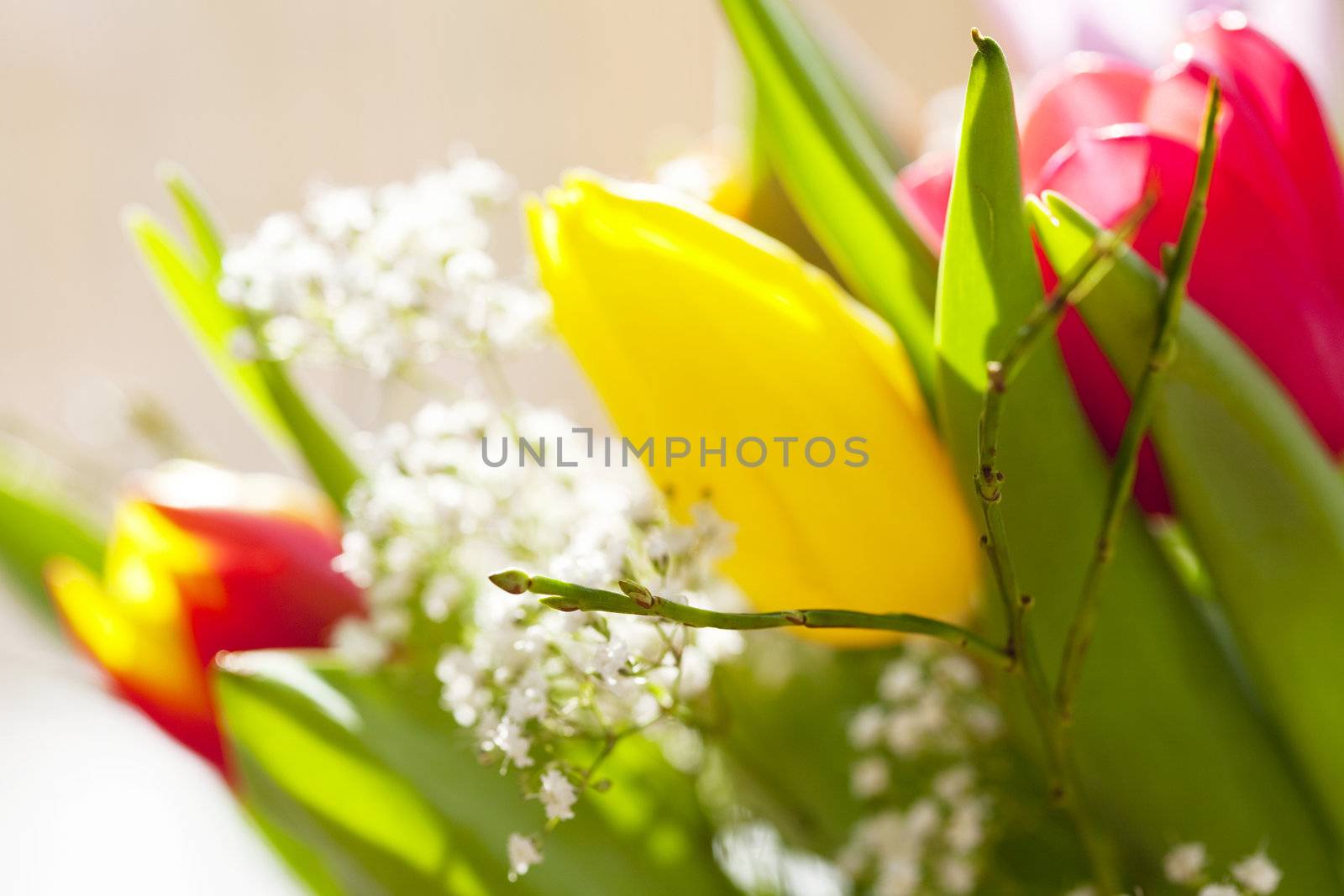 a spring bouquet with tulips