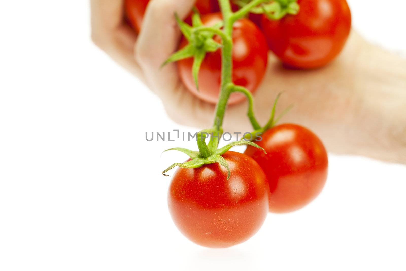juicy tomatoes in hand isolated on white by jannyjus