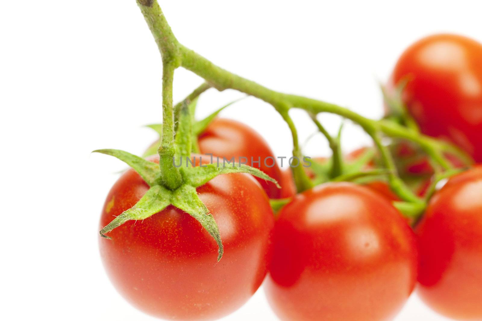 juicy tomatoes isolated on white