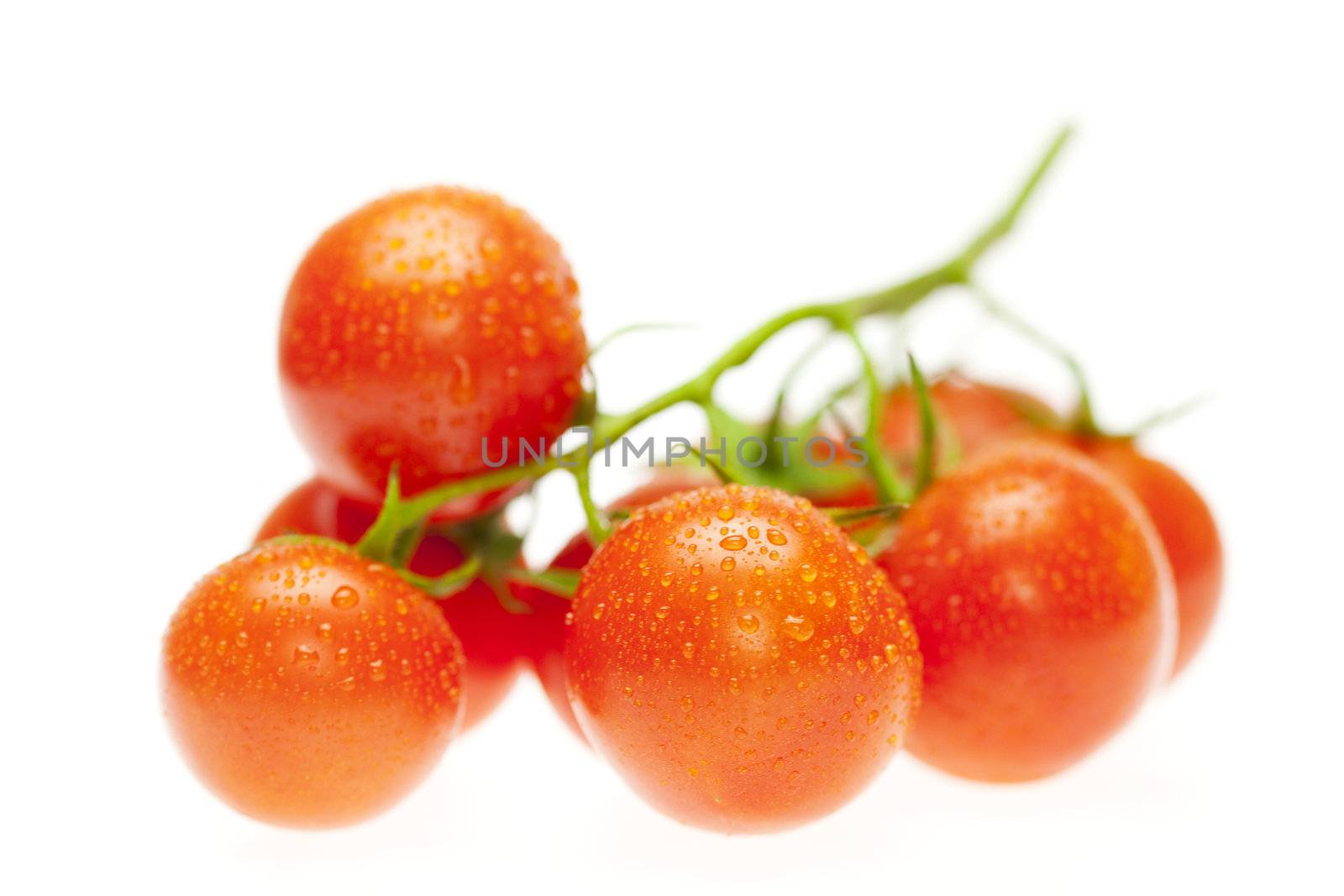 juicy tomatoes isolated on white by jannyjus