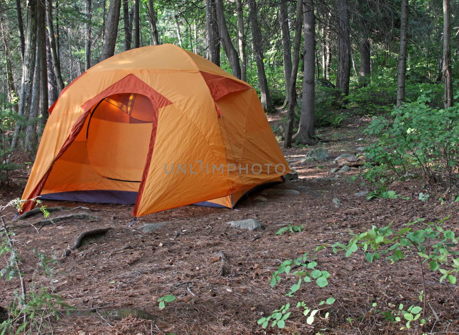 An orange tent sitting in Algonquin Provincial Park in Ontario, Canada.
