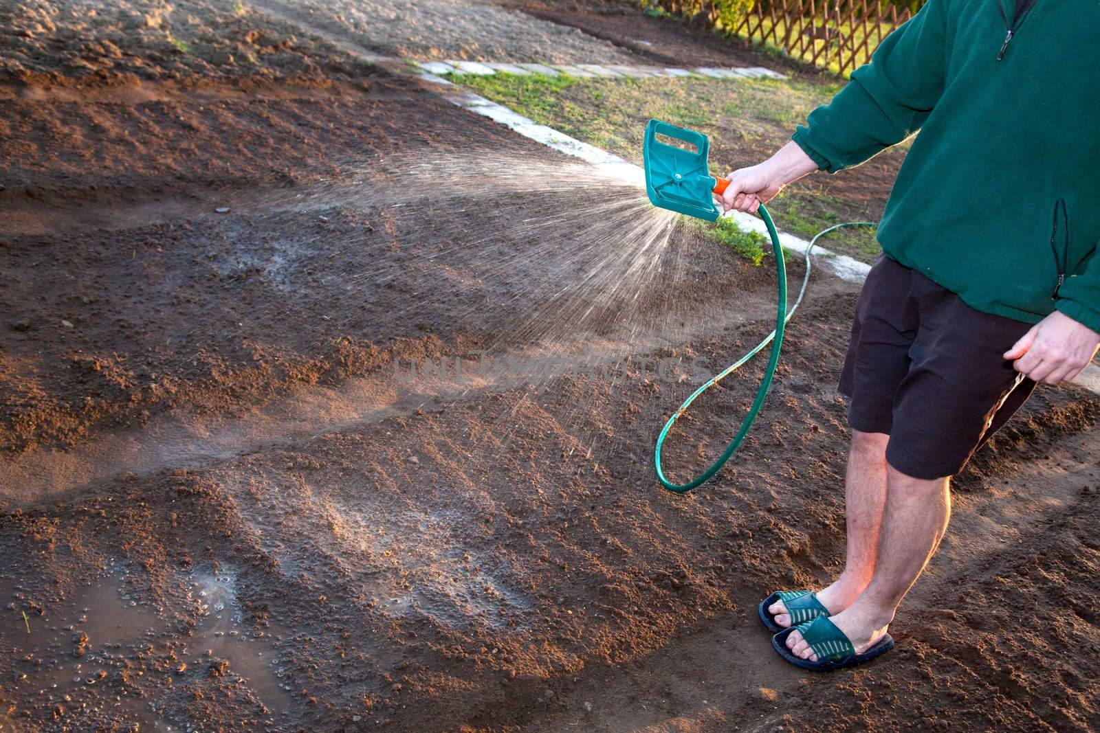 Man watering, cultivating the ground