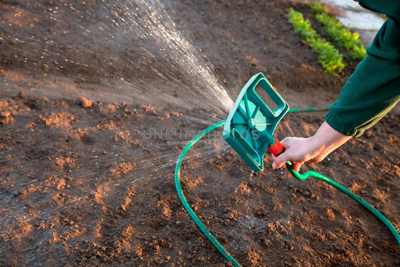 Man watering the ground by photocreo