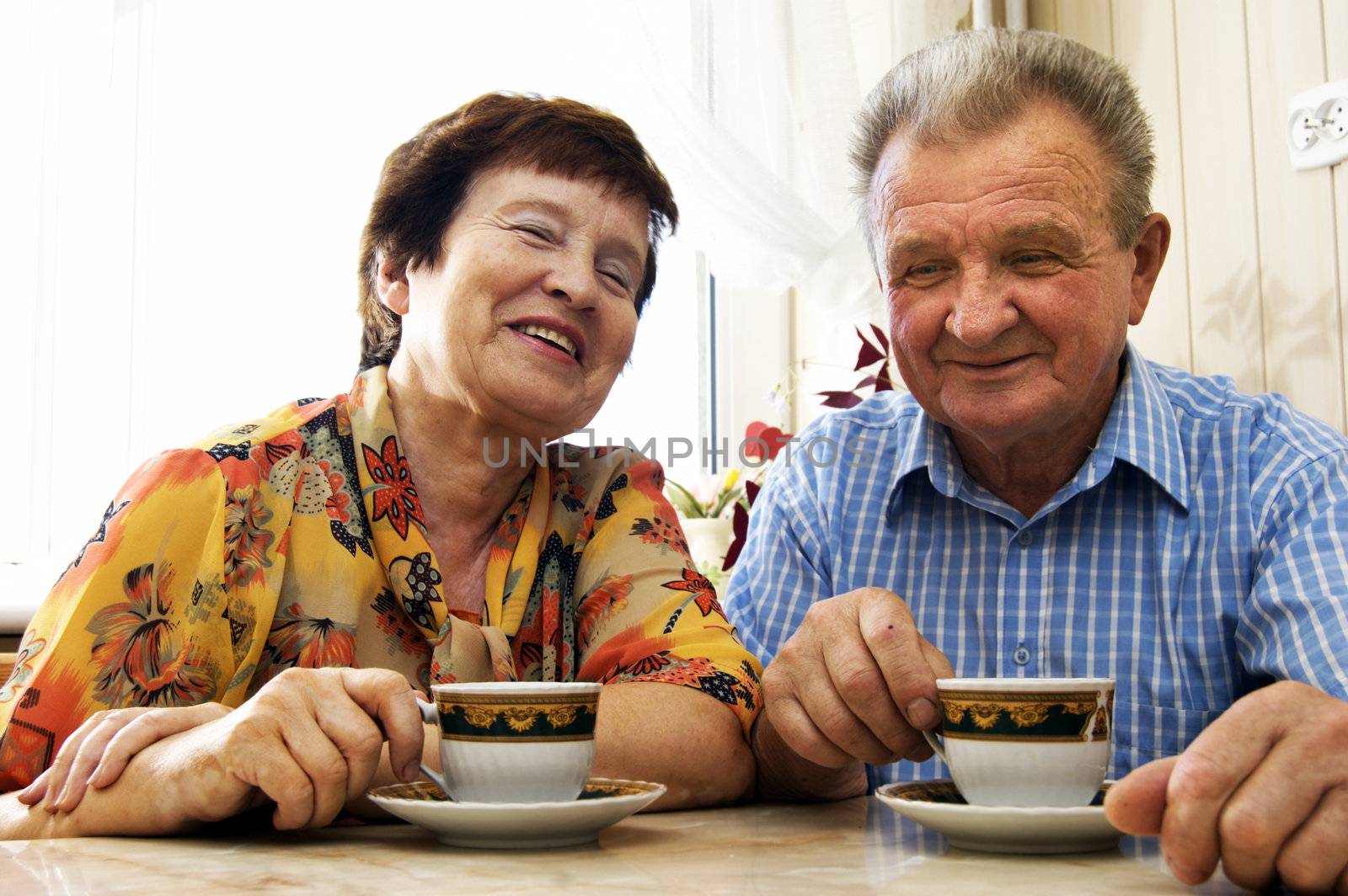 Happy senior couple in home