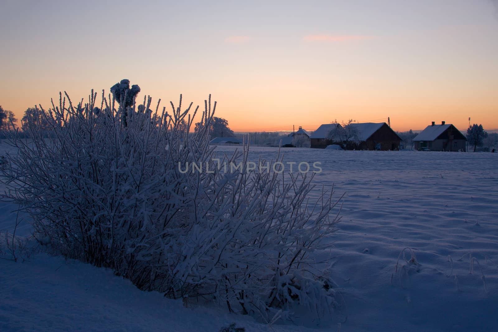 russian winter