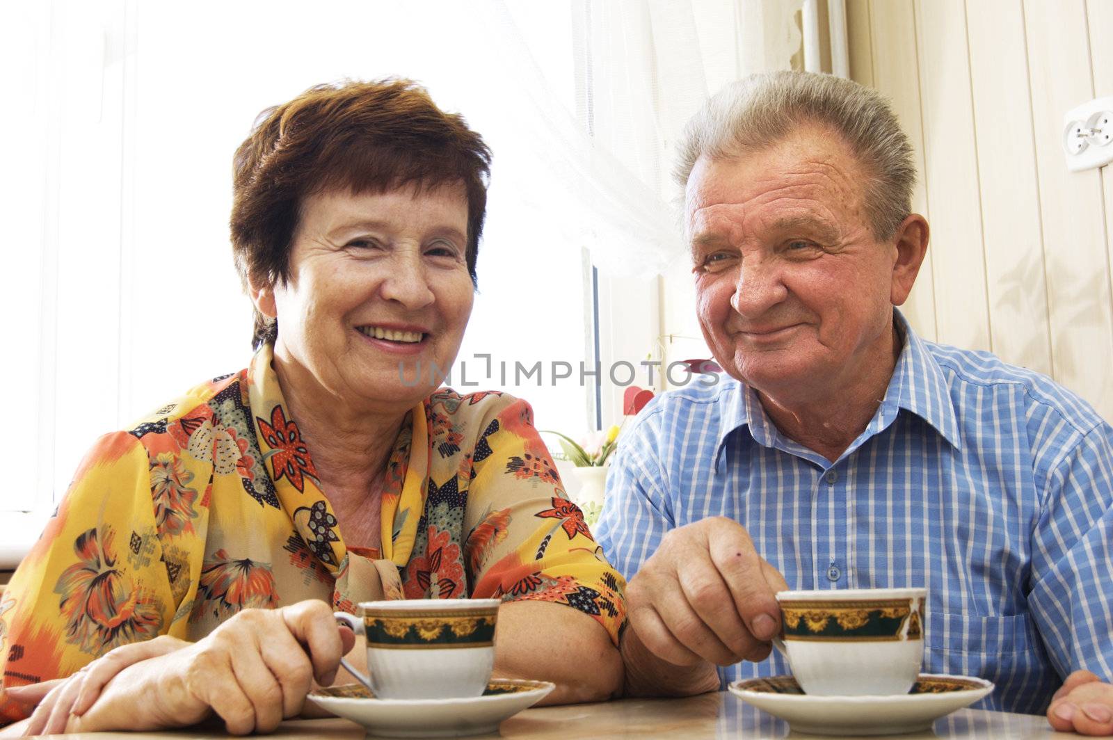 Happy senior couple in home