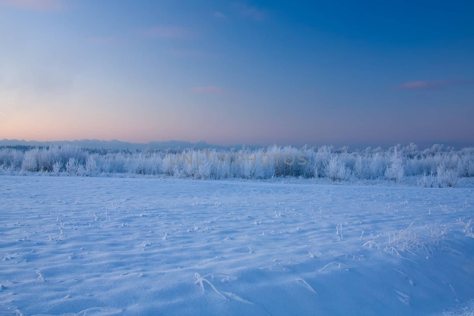 russian winter