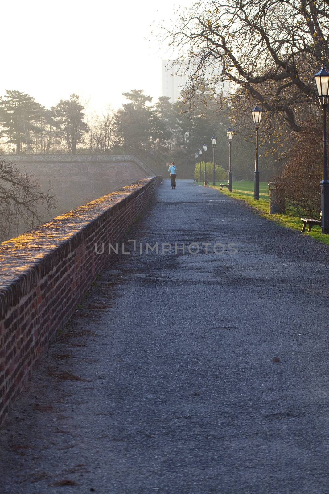 woman running in the park in the morning by jannyjus