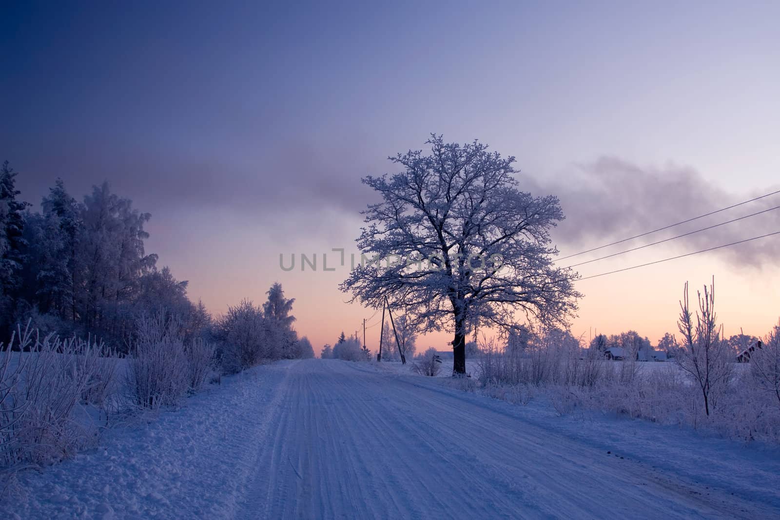 russian winter