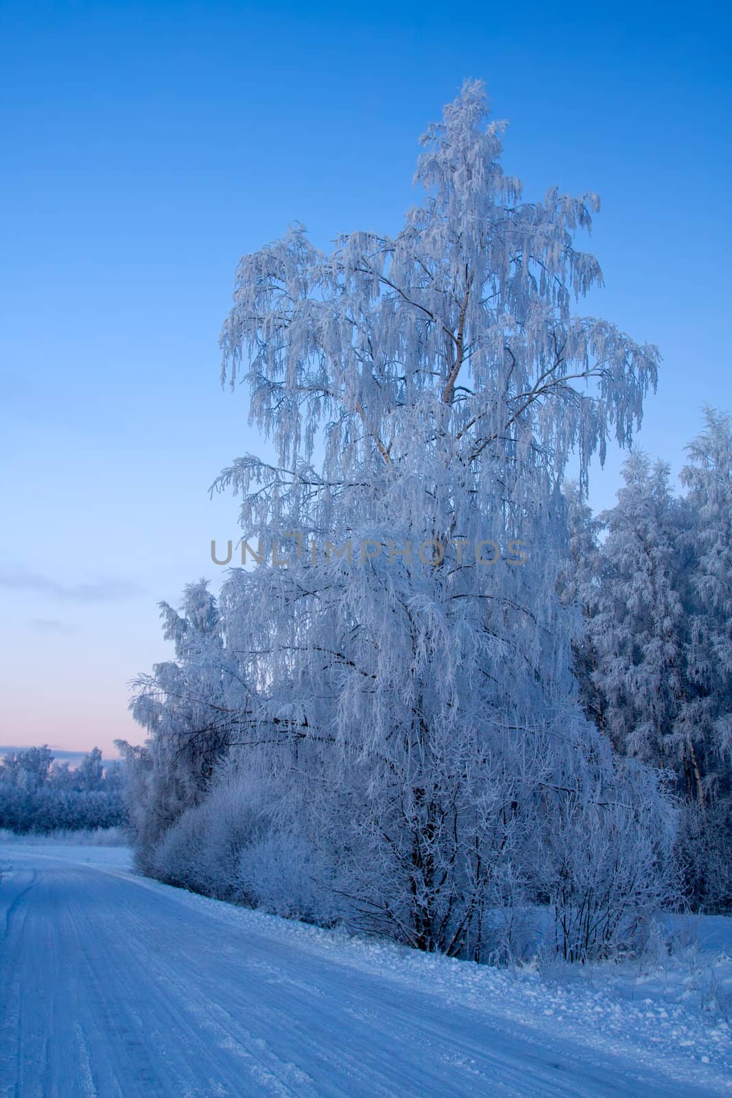 russian winter
