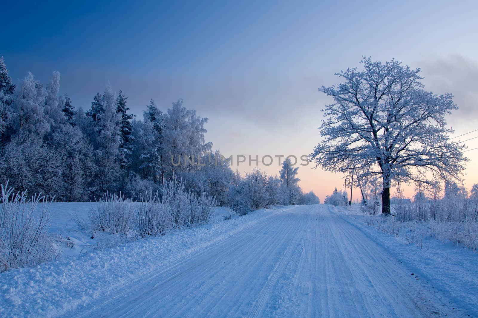 russian winter