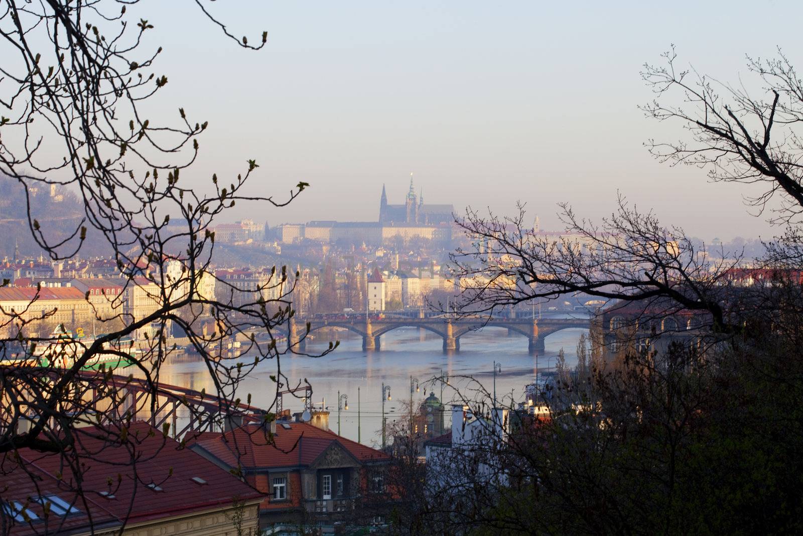 morning view of the Vltava River in Prague