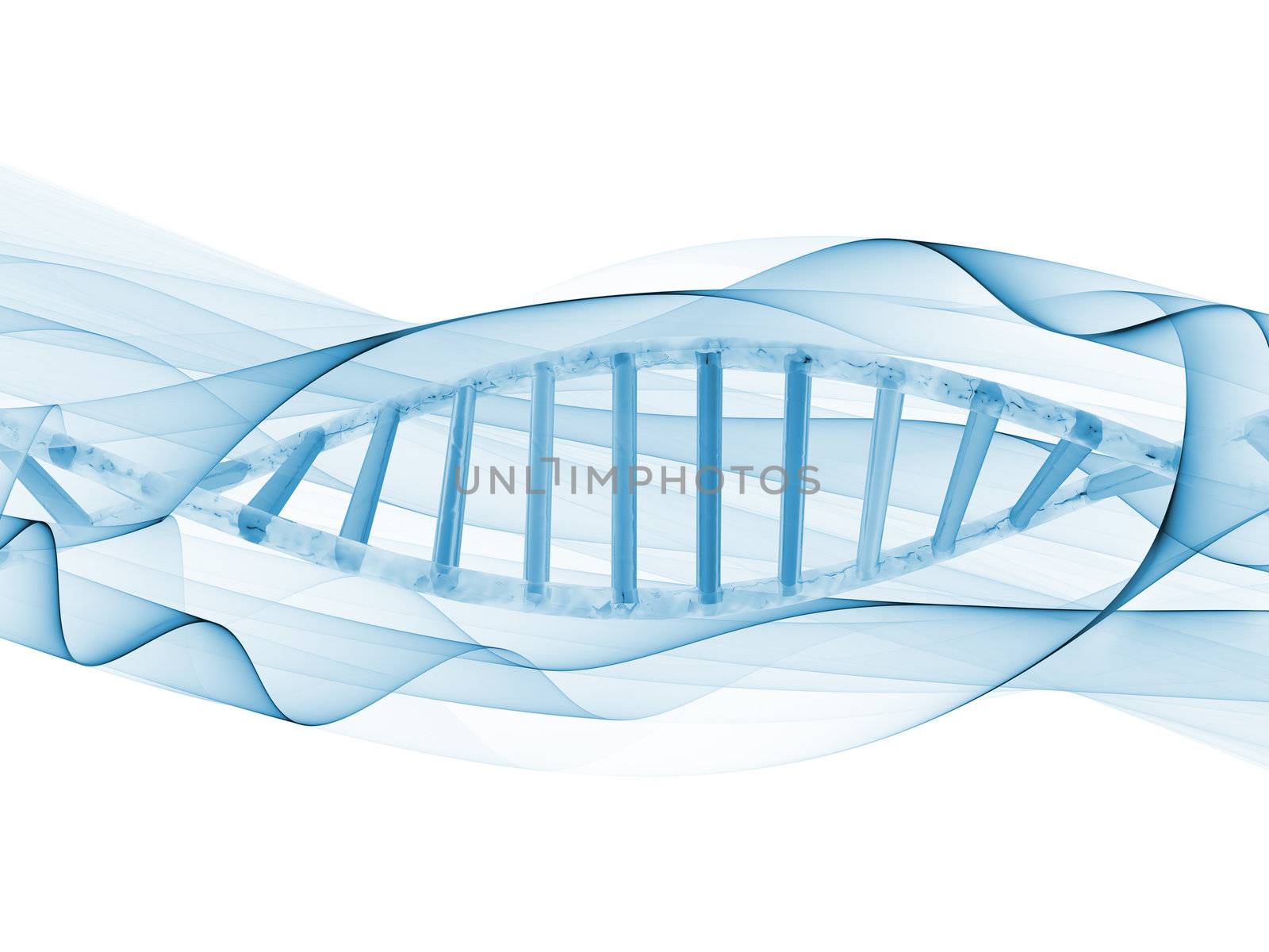 DNA Spiral by agsandrew