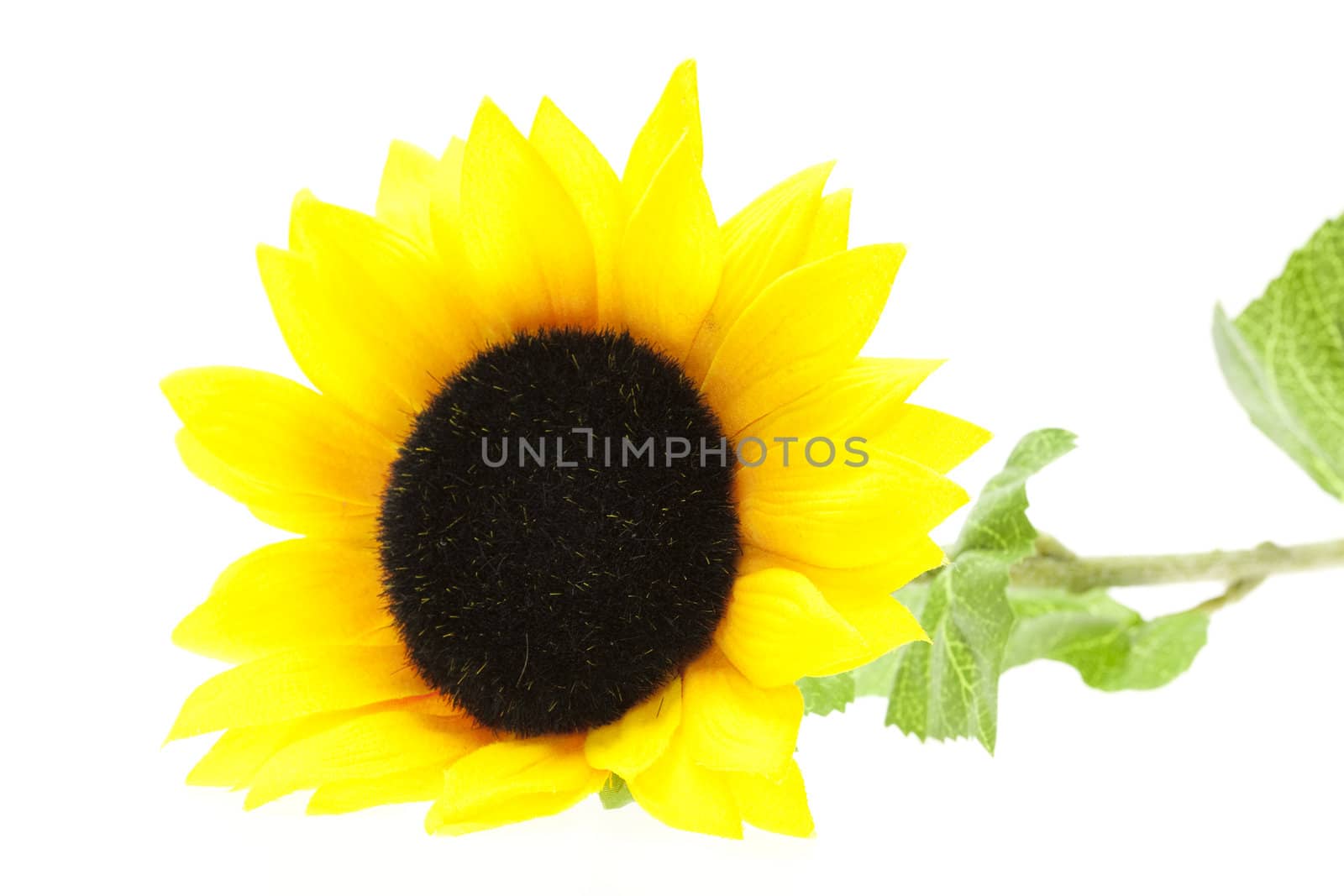 artificial sunflower isolated on white