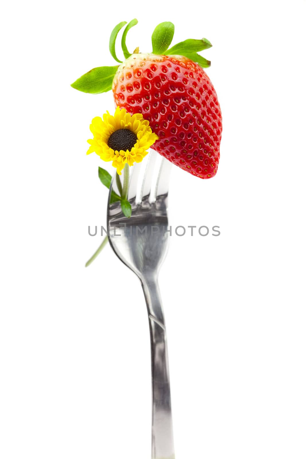 strawberry and flower on a fork isolated on white by jannyjus