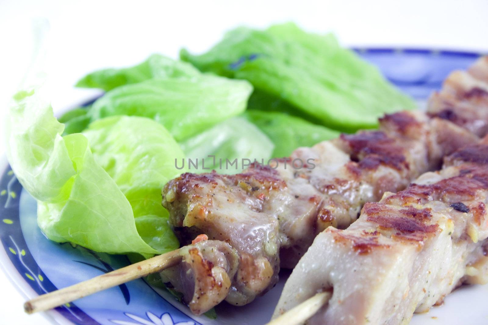 Studio shot of chicken kebab on plate