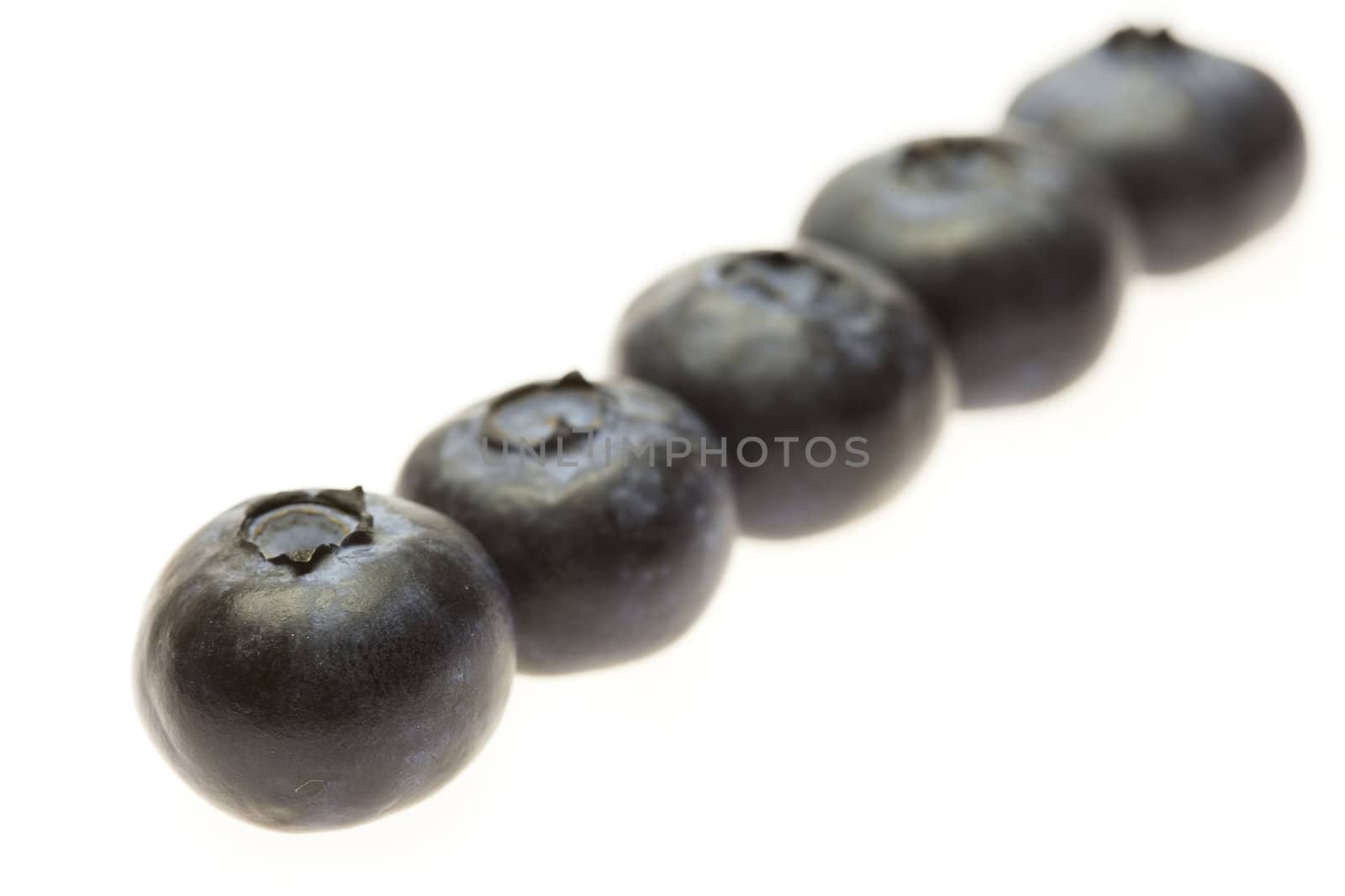 blueberries isolated on white